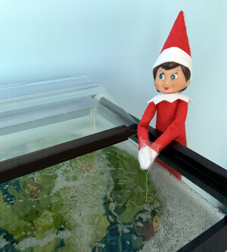 What To Say When Your Kid Catches You Moving The Elf On The Shelf ...