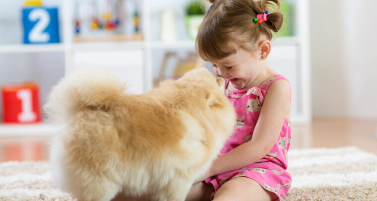 How to Create Harmony Between Your Toddler And Your Pet