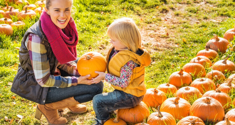Do You Need To Disinfect Your Pumpkin After Bringing It Home? Experts Say Absolutely